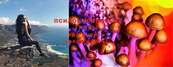 меф Алексин