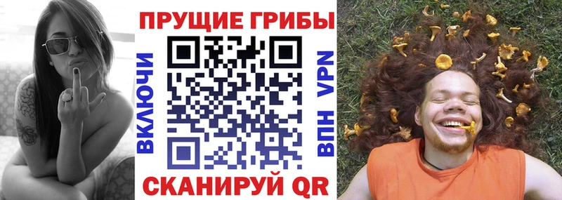 где можно купить наркотик  Мостовской  Псилоцибиновые грибы Magic Shrooms 